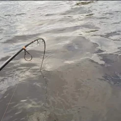 Patriot Pike Specialist Hyrräkelavapa Baitcasthengel 2.44m (15-75g)