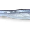 Fatnose Shad 23cm - Coregonus -Aanbiedingen Hengel Joy Winkel 1b8aebaa3d54340d