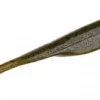 Strike King 5" Caffeine Shad Green Pumpkin -Aanbiedingen Hengel Joy Winkel 1bee4f11640bf1fc