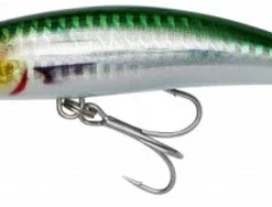 Savage Gear Gravity Runner 10Cm 55G Extra Fast Sinking Sayoris Php