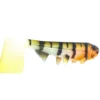 Hostagevalley Shad 26cm (162g) Red Head Perch -Aanbiedingen Hengel Joy Winkel 42640ecb480024ce