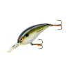 Bomber Fat Free Shad Guppy Tenn Shad