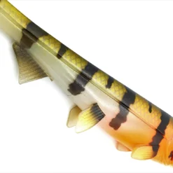 Hostagevalley Shad 26cm (162g) Red Head Perch -Aanbiedingen Hengel Joy Winkel 888812e53d833810