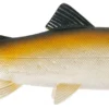 Uni Cat Trout 15cm BT 2 Uni Cat Trout 15cm BT -Aanbiedingen Hengel Joy Winkel 8c882779d04de4e2