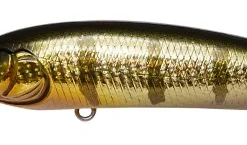 Megabass X-Nanahan +1 GG Baby Perch