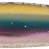 Ho'Okipa Lawaia 120Mm/40Gr 07 Rainbow Fish -Aanbiedingen Hengel Joy Winkel e3968ea8f58afda7